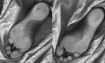 These feet have been around the world more then onece so lets put um on the web, Click to Enlarge!
