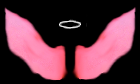 Click to see an Angel!